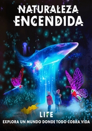 Imagen de fondo de NATURALEZA ENCENDIDA: LIFE