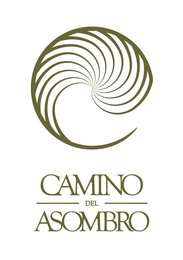 Imagen de fondo de CAMINO DEL ASOMBRO
