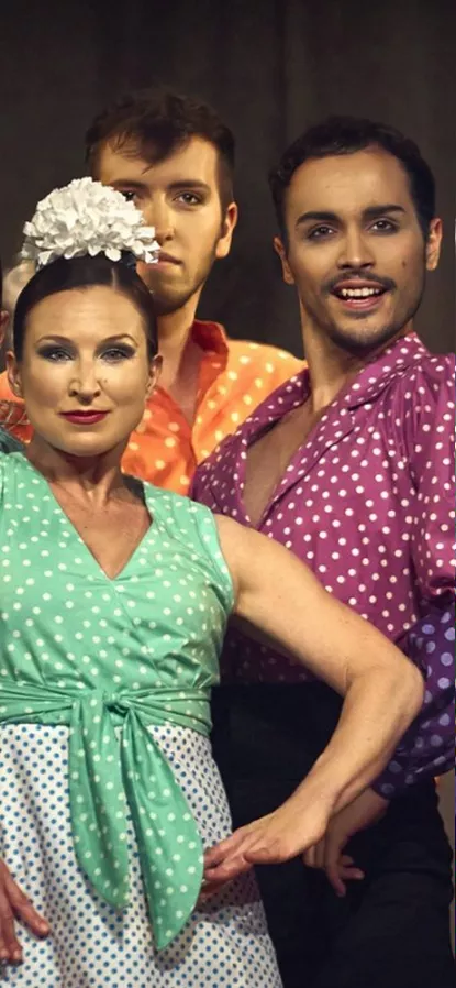 Flamenco Voyage