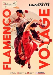Flamenco Voyage